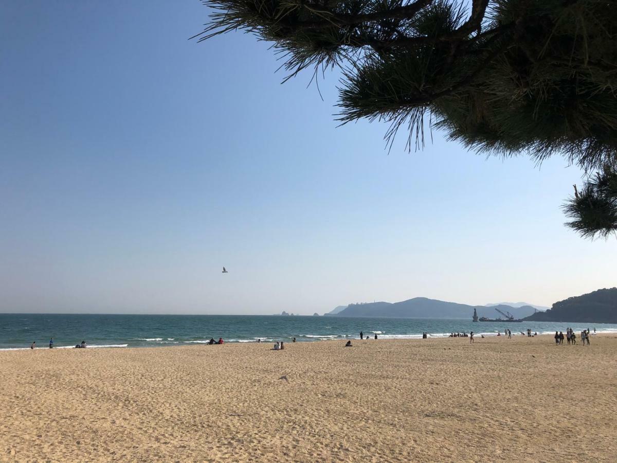 釜山 叔叔旅馆-外国人专用酒店 外观 照片